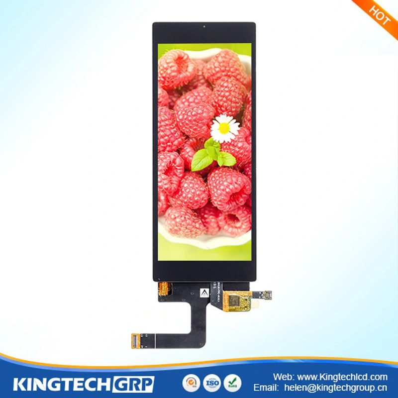 Affichage LCD de type de barre d'interface Mipi 180x1120 Angle de vue complet 4.82 pouces